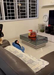 Blk 232 Bishan Street 22 (Bishan), HDB 4 Rooms #612244181